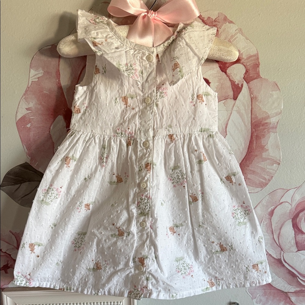 White Floral Button-Up Baby Dress bunny’s perfect for Easter , worn one time